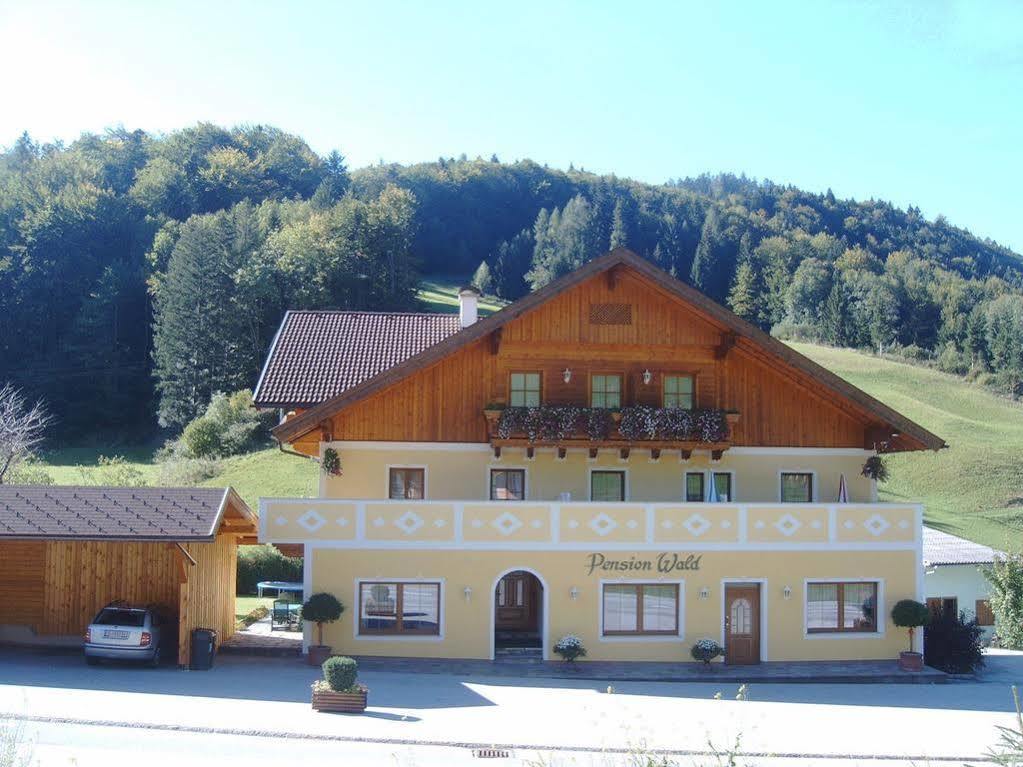 Pension Wald Faistenau Bagian luar foto